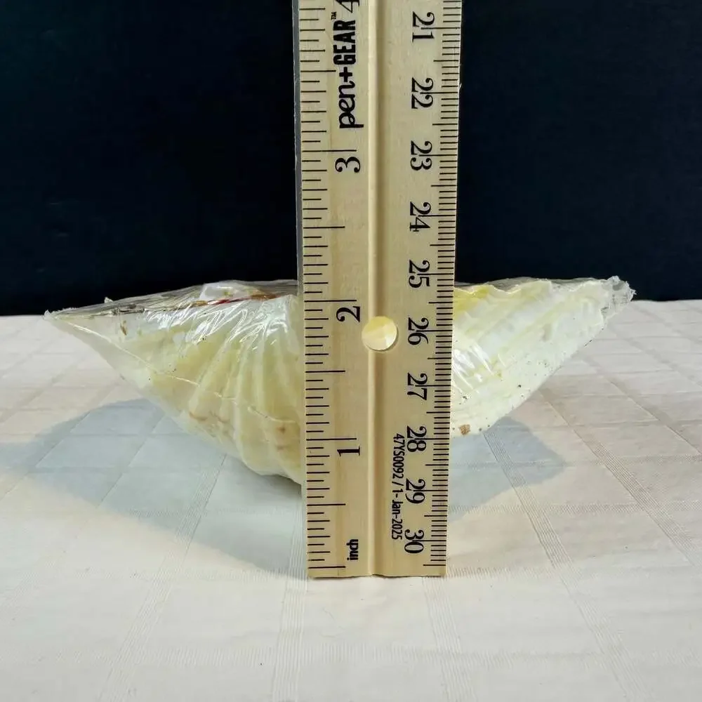 N/A shell topped